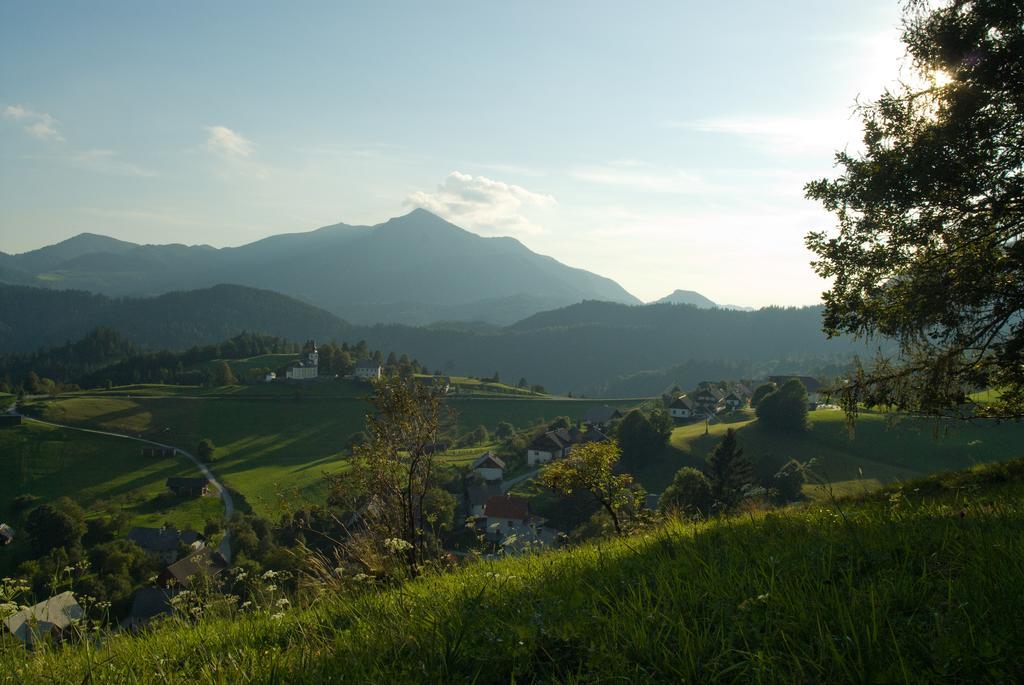Guesthouse Macesen Spodnja Sorica ภายนอก รูปภาพ
