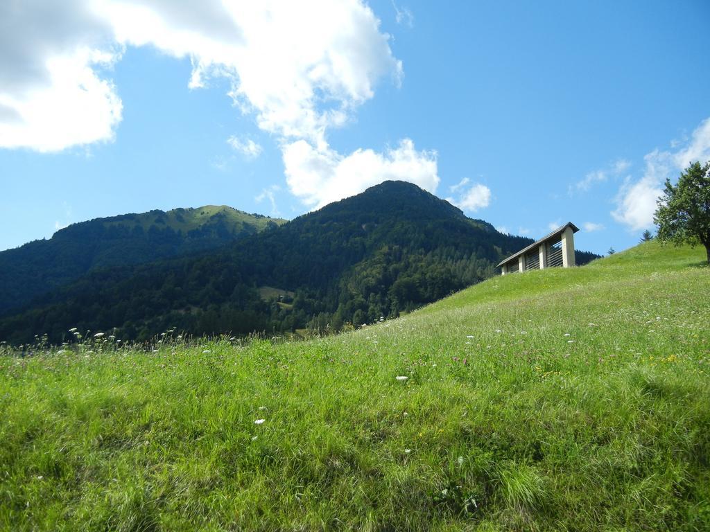 Guesthouse Macesen Spodnja Sorica ภายนอก รูปภาพ